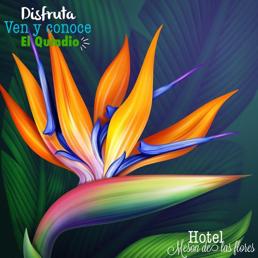 Hotel Meson De Las Flores Арменія Екстер'єр фото